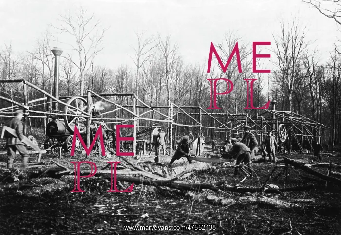 : Building a sawmill, Western Front, WW1 : Building a sawmill, Western Front, WW1