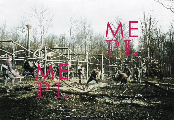 : Building a sawmill, Western Front, WW1 : Building a sawmill, Western Front, WW1