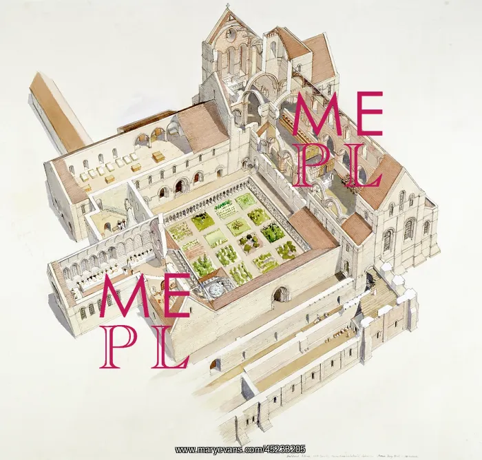 : Buildwas Abbey : Buildwas Abbey