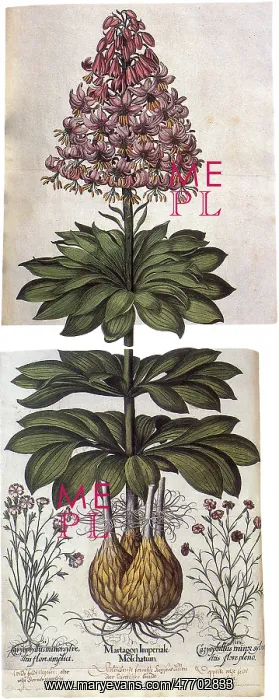  : Bulb Plant with Flowers