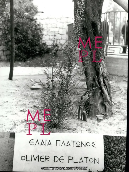 : Bulgaria - Greece : Bulgaria - Greece