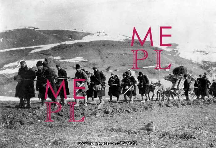 : Bulgarian troops in the Balkans, 1916 : Bulgarian troops in the Balkans, 1916