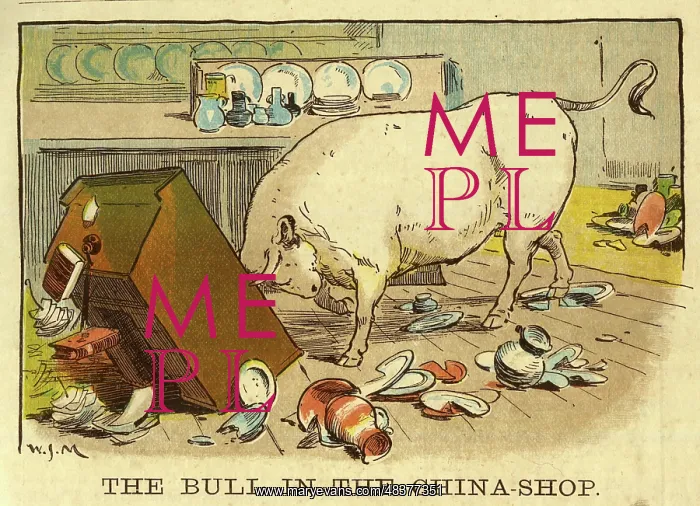  : The Bull in the China Shop