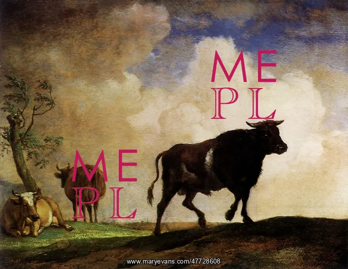  : Bull and Cows