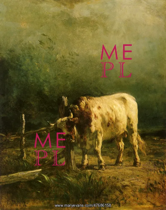 : The Bull, Effect Storm