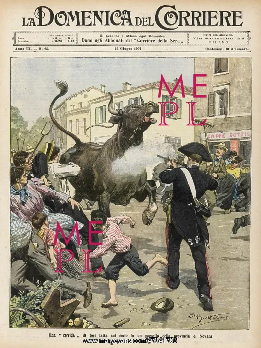 : BULL ESCAPES NOVARA 1907 : BULL ESCAPES NOVARA 1907