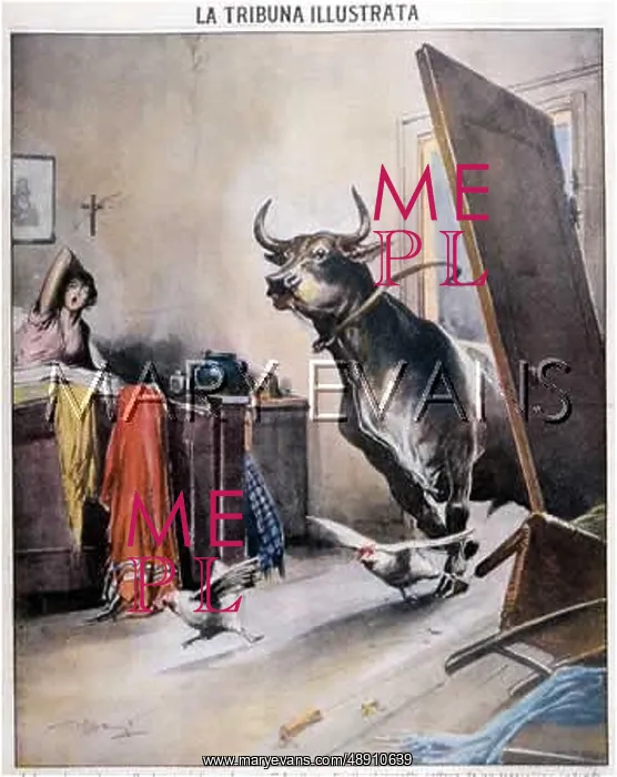 : BULL ESCAPES SLAUGHTER : BULL ESCAPES SLAUGHTER