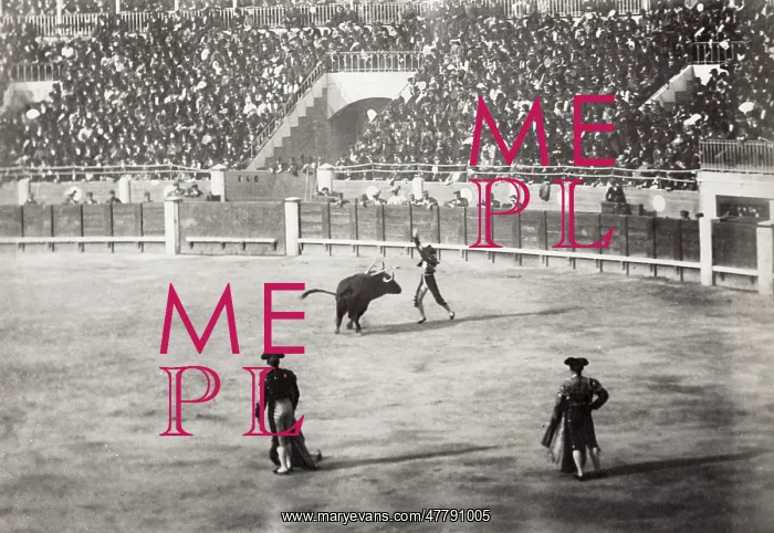 : Bull fighting in Cordoba, Spain : Bull fighting in Cordoba, Spain