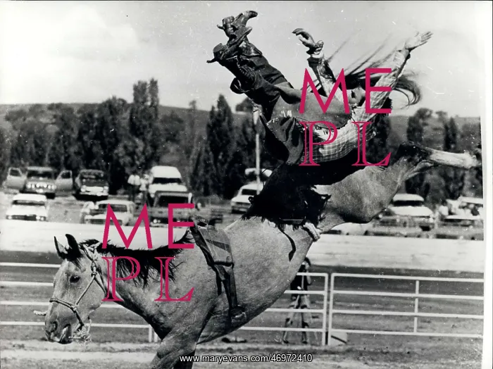 : Bull Fighting - Rodeo : Bull Fighting - Rodeo