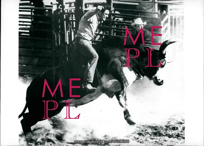 : Bull Fighting - Rodeo : Bull Fighting - Rodeo
