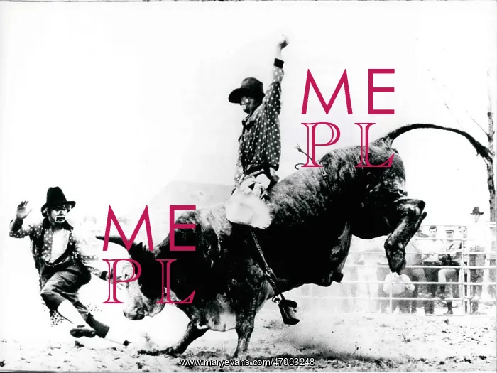 : Bull Fighting - Rodeo : Bull Fighting - Rodeo