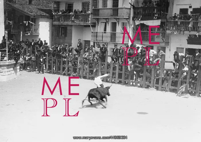 : BULL FIGHTING IN SPAIN : BULL FIGHTING IN SPAIN