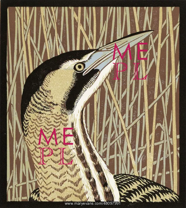 : Bull o the Bog - Bittern : Bull o the Bog - Bittern
