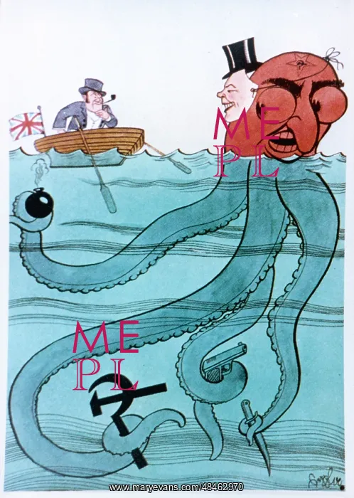 : BULL & OCTOPUS : BULL & OCTOPUS