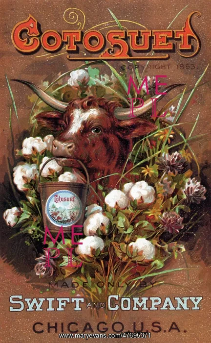  : Bull with Pail