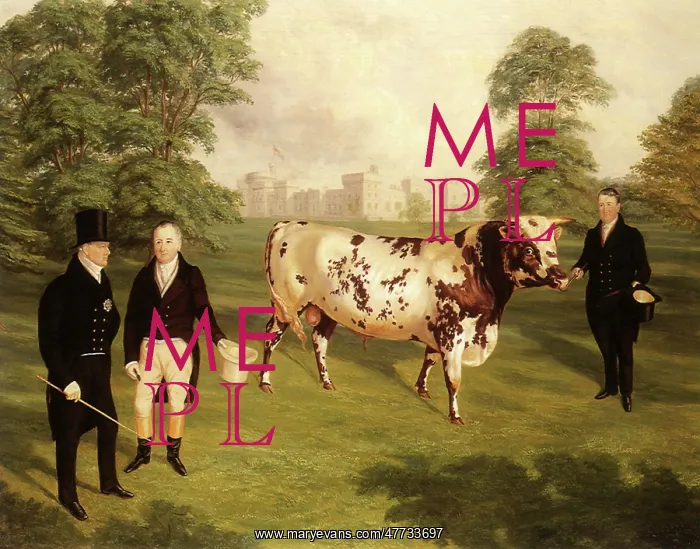  : Bull Presented to King