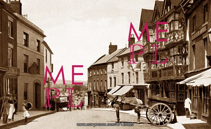  : The Bull Ring, Ludlow early 1900's