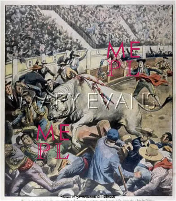 : BULL AND SPECTATORS : BULL AND SPECTATORS