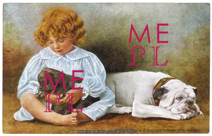  : Bulldog. A little girl sits with a white bulldog and cuddles a puppy