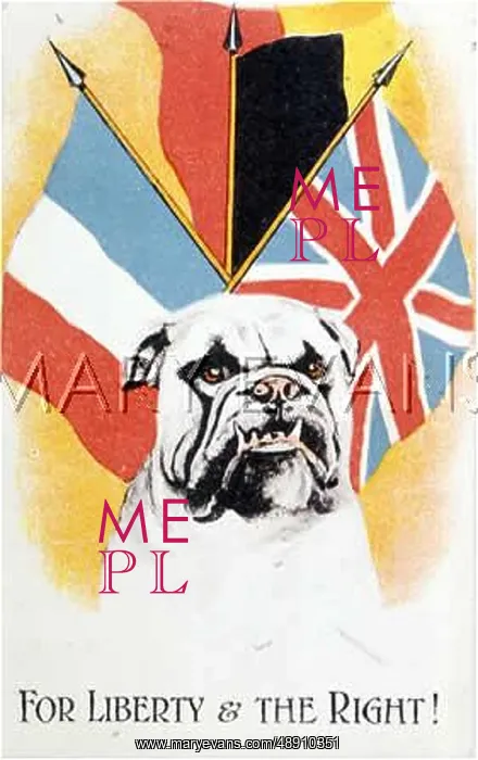 : BULLDOG AND ALLIED FLAGS : BULLDOG AND ALLIED FLAGS