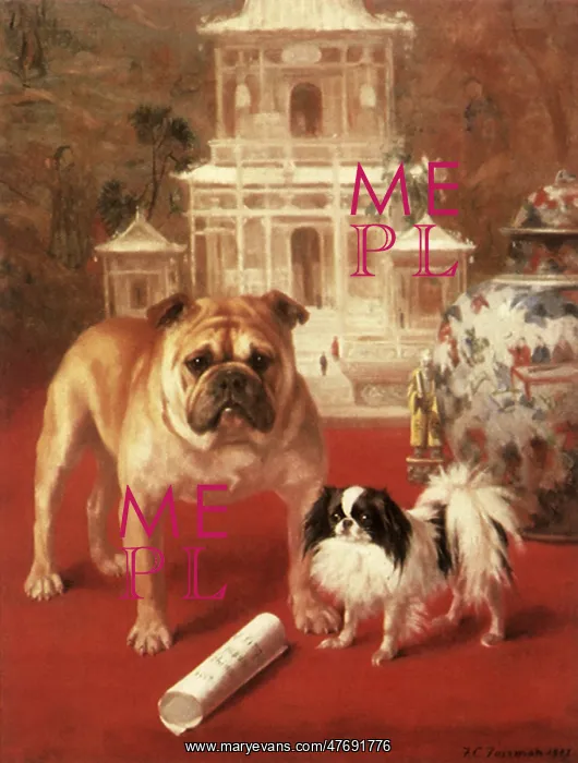  : Bulldog and Chin