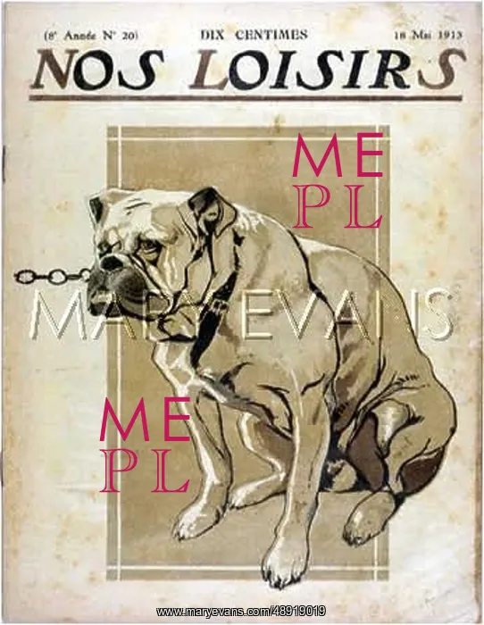  : BULLDOG (NOS LOISIRS)