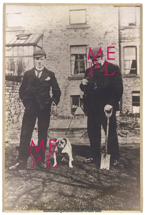  : BULLDOG / PHOTO / OWNERS