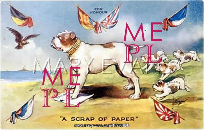 : BULLDOG AND PUPS : BULLDOG AND PUPS