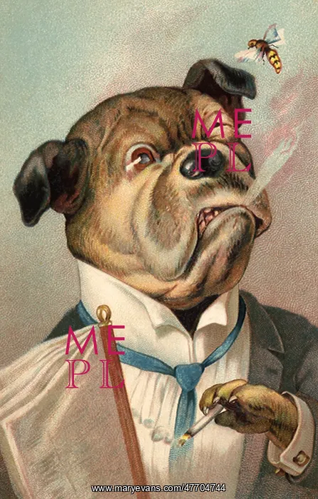  : Bulldog in Suit, Bee