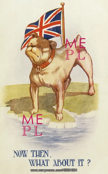 : BULLDOG AND UNION JACK