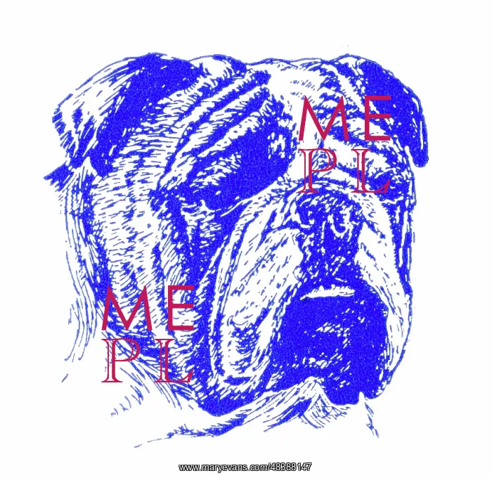  : Bulldog's head - 1950s printer's block