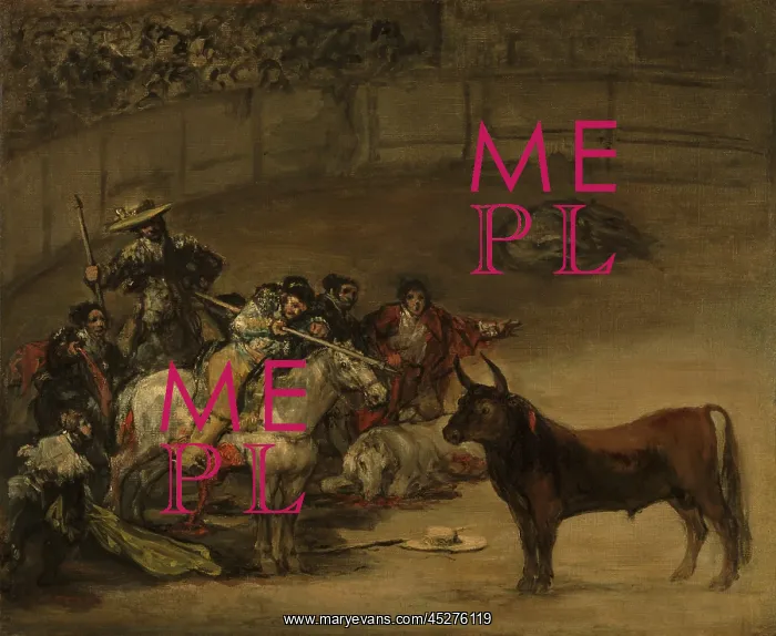 : Bullfight, by Francisco Goya : Bullfight, by Francisco Goya