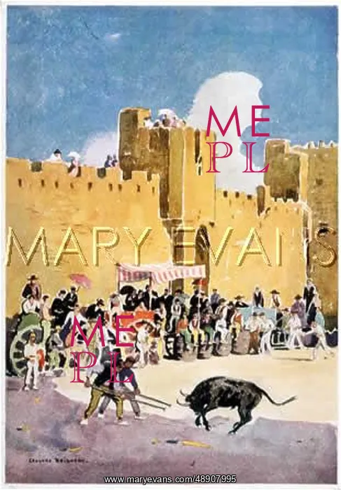 : BULLFIGHT IN THE MIDI : BULLFIGHT IN THE MIDI