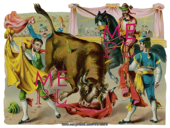  : Bullfight Scrap