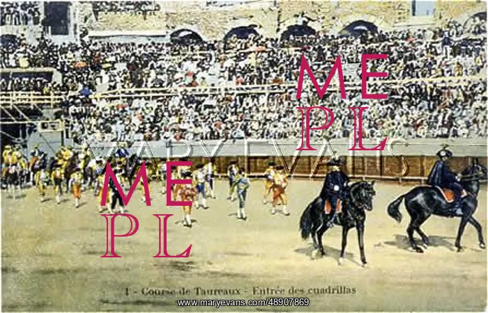 : BULLFIGHT SERIES - 1 : BULLFIGHT SERIES - 1