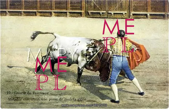 : BULLFIGHT SERIES - 10 : BULLFIGHT SERIES - 10