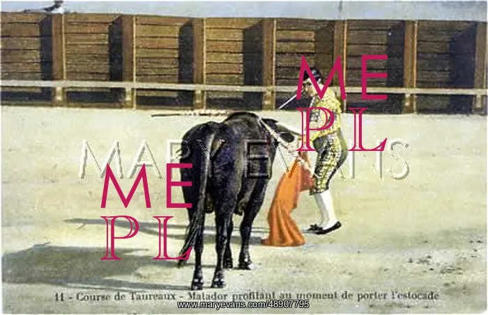 : BULLFIGHT SERIES - 11 : BULLFIGHT SERIES - 11
