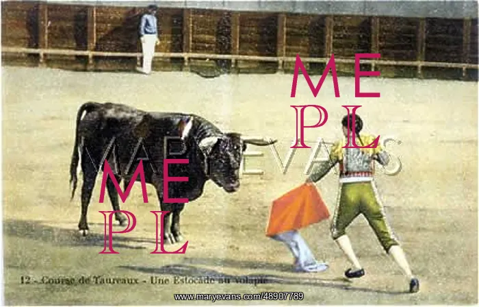 : BULLFIGHT SERIES - 12 : BULLFIGHT SERIES - 12