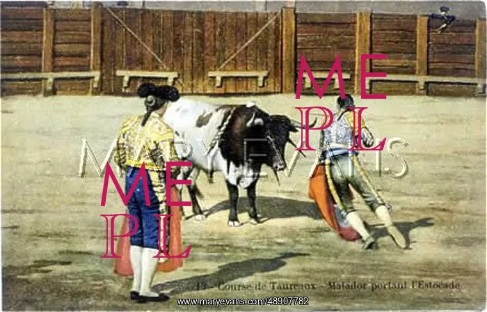  : BULLFIGHT SERIES - 13