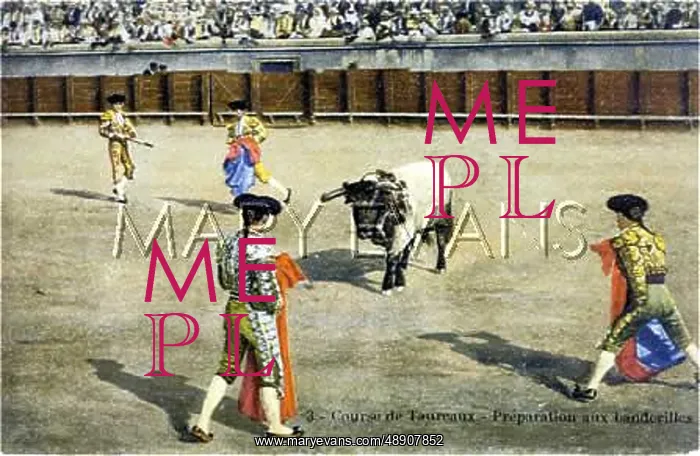 : BULLFIGHT SERIES - 3 : BULLFIGHT SERIES - 3