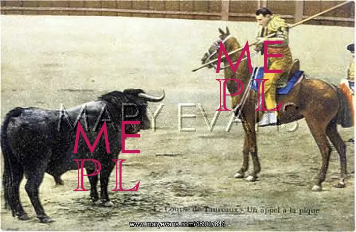 : BULLFIGHT SERIES - 4 : BULLFIGHT SERIES - 4