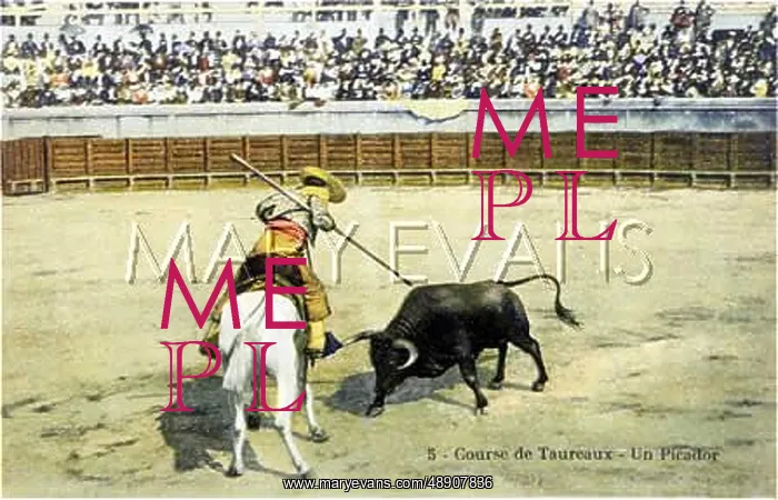 : BULLFIGHT SERIES - 5 : BULLFIGHT SERIES - 5