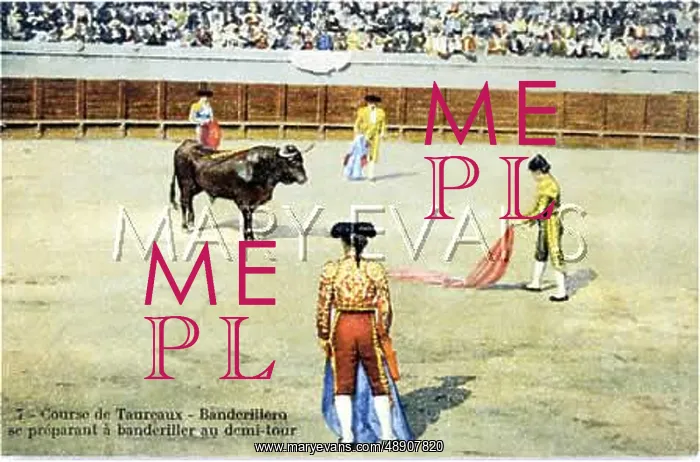  : BULLFIGHT SERIES - 7