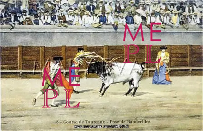 : BULLFIGHT SERIES - 8 : BULLFIGHT SERIES - 8