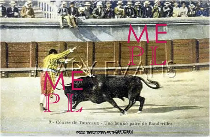 : BULLFIGHT SERIES - 9 : BULLFIGHT SERIES - 9