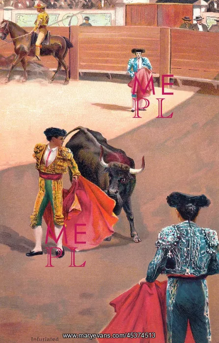 : Bullfighting : Bullfighting