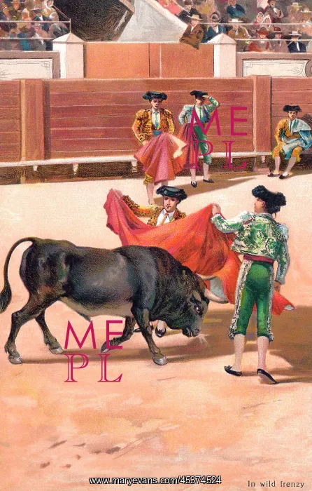 : Bullfighting : Bullfighting