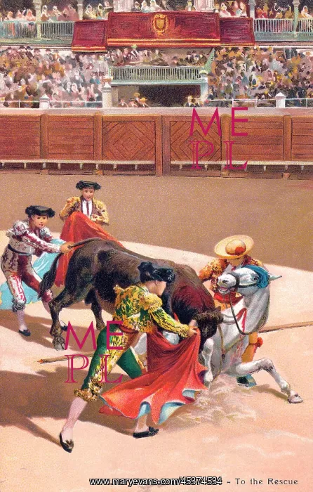 : Bullfighting : Bullfighting