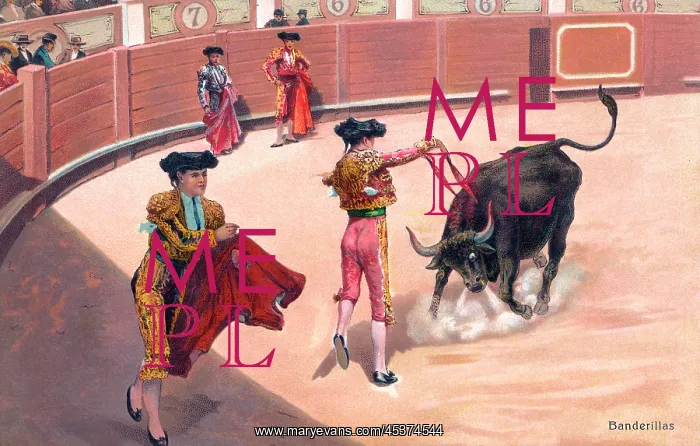 : Bullfighting : Bullfighting