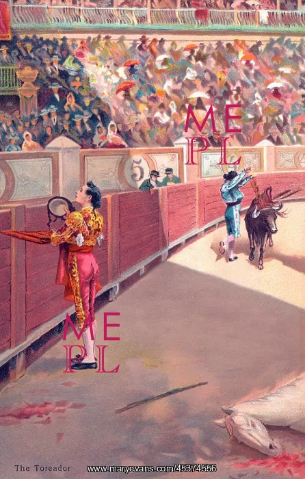 : Bullfighting : Bullfighting